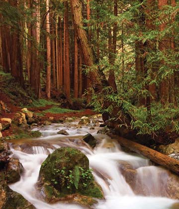 Limekiln State Park