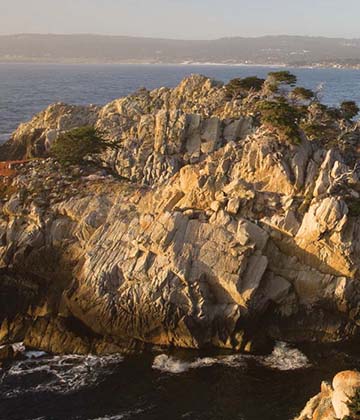 Point Lobos State Reserve